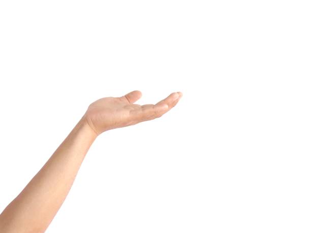 istock Male hands open and raised from below making a lifting gesture or holding something, business concept isolated on white background. 2004087139