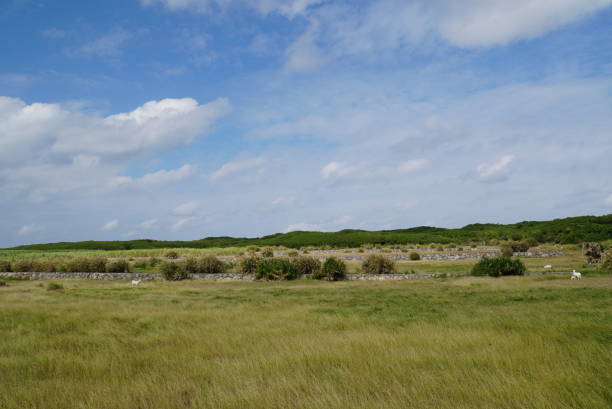 istock Landscape of Hateruma Island 2004118630