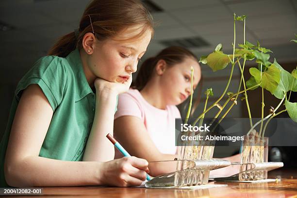 Schulkindnur Mädchen Schreiben Auf Schreibtisch Mit Pflanzen Wachsen Stockfoto und mehr Bilder von Wissenschaft