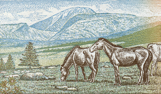 Horses on the Steppe Pattern Design on Mongolian Banknote