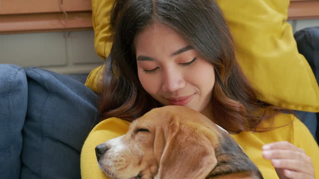 In their living room, a woman and her Beagle dog nap together on the sofa, reflecting the bond of trust and friendship that defines their relationship. It's a portrait of love at home. Pet love