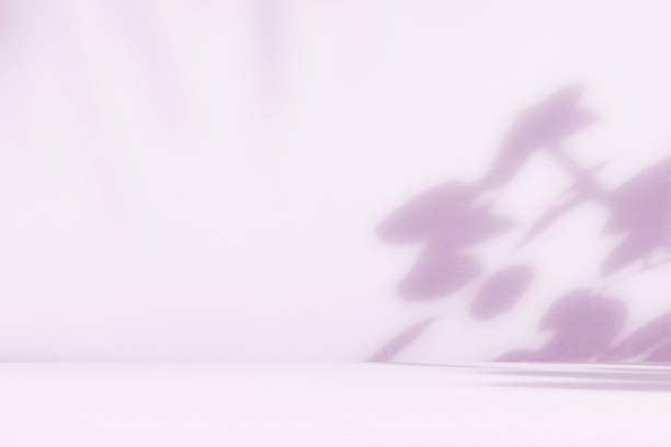 istock Purple room studio with shadow of leaves overlay. 2004271591