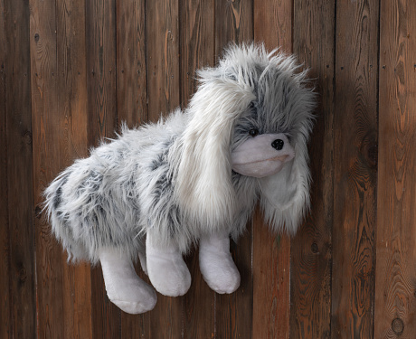fluffy wool dog toy on wooden background
