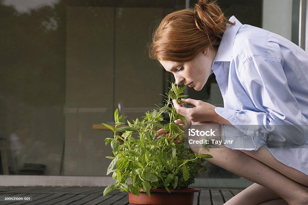 Junge Frau Hockend mit Holzdielen, riechen Topfpflanze, seitliche vi - Lizenzfrei Menschen Stock-Foto