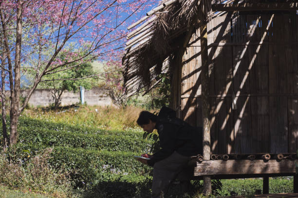 istock travel and work concept with solo freelancer man sit in cabin under cherry blossom tree and use tablet work with layer of mountain background 2004331551