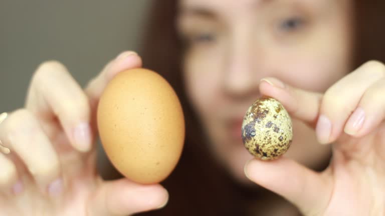 Close up woman holding quail and chicken egg in her hand. Focus on the eggs. Benefits and comparison of eggs