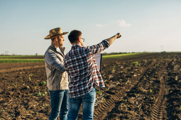 farmers on field