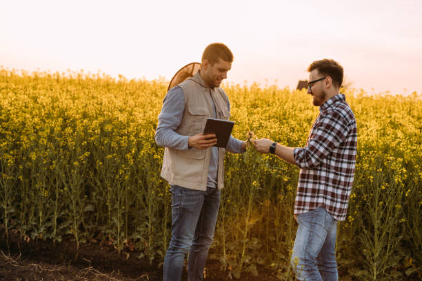istock farmers on field 2004411968