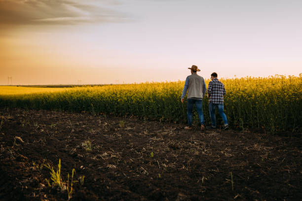 istock farmers on field 2004411983