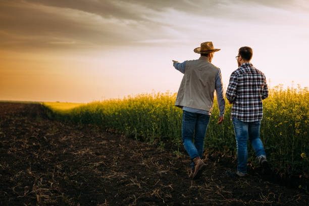 farmers on field Two farmers walking on a farmland at unset and talking. Farmer stock pictures, royalty-free photos & images