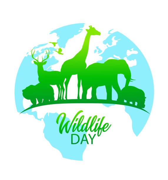 istock World wildlife day holiday celebration banner 2004439860