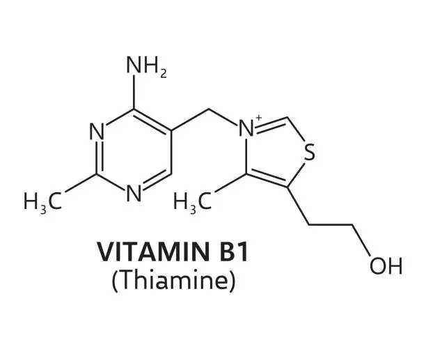 Vector illustration of Vitamin B1 formula, thiamine chemical structure