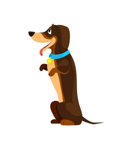 postać jamnika z kreskówek siedząca na tylnych łapach - dachshund hot dog dog smiling stock illustrations