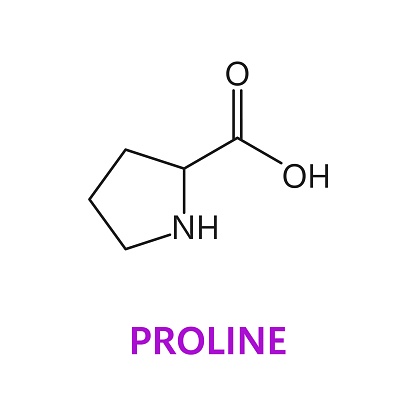 Amino acid chemical molecule of Proline, molecular formula and chain structure, vector icon. Proline proteinogenic amino acid molecular structure and chain formula for medicine and pharmacy