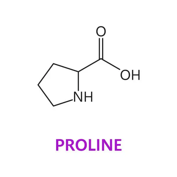 Vector illustration of Amino acid, Proline, chemical molecule formula