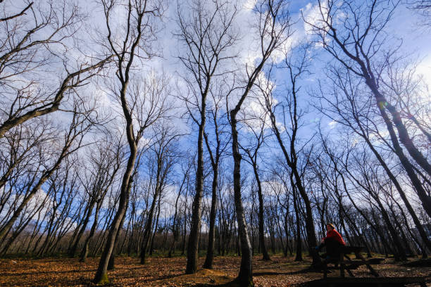 Woman spending time in nature, resting in forest park