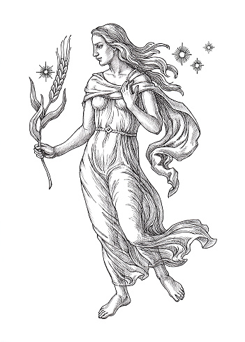 Hand drawn  illustration in the engraving style, Virgo, zodiac sign on white.