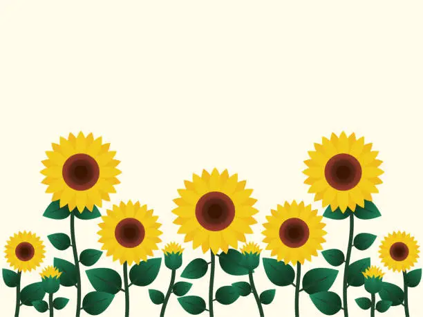 Vector illustration of Sunflower Field Background Flat Design Vector Illustration.