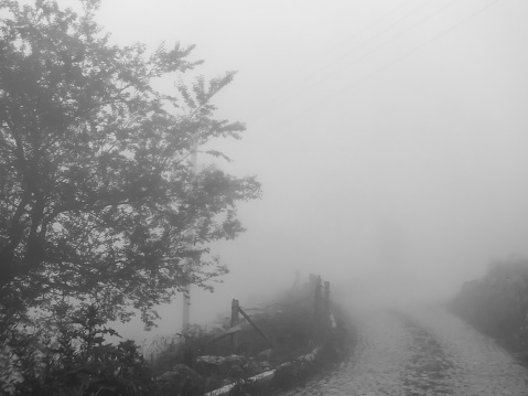 Village road in foggy weather, black and white photo concept.
