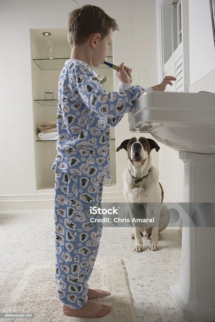Молодой мальчик (6-8) в ванной комнате, Чистить зубы глядя на собаках - Стоковые фото Чистить зубы роялти-фри