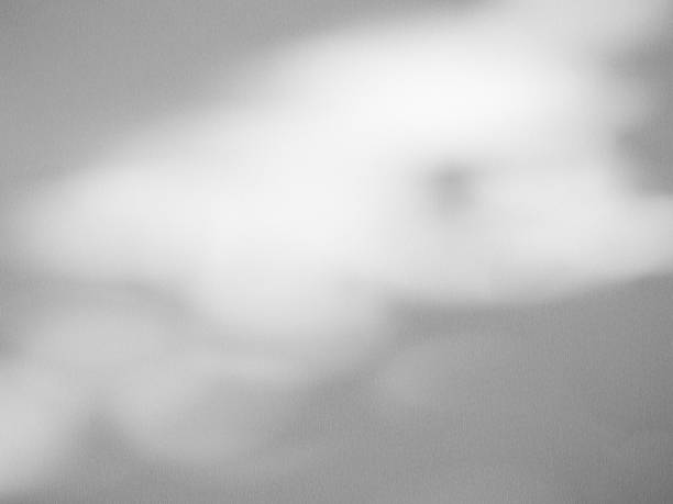 istock shadow Background Wall Light White Abstract Overlay Plant Backdorp Sunlight Mockup Minimal Gray Summer Black Photography Floor blur Cement Grey Minimal Product Beauty Cosmetic Presentation Template. 2004556250