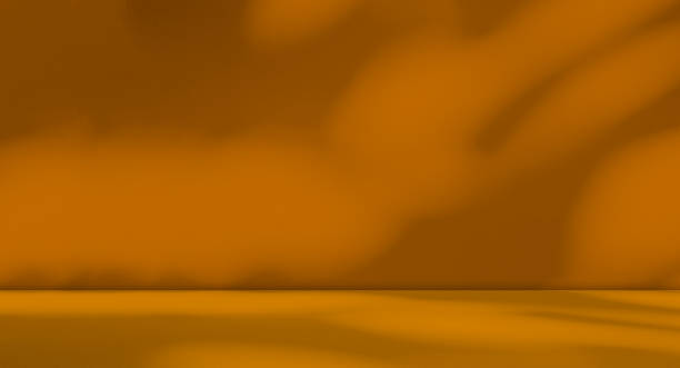 istock Orange Background Wall Podium Product 3d Summer Backdrop Light Shadow Texture Abstract Floor Modern Minimal Cosmetic Presentation Overaly Nature Branch Elegant Interior Surface Template Yellow Studio. 2004557060