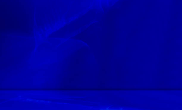 istock Blue Background for Presentation Abstract Studio Cyan Template Business Kitchen House Table Building Light Spaec Wall Interior Room Plant Shadow Window Desk Floor Bar Concrete Gradien Stone Podium 2004557318