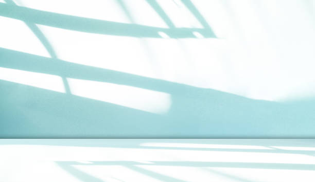 istock Green Shadow Backdrop Background Product 3d Bg Light Leaf Wall Podium Abstract Leaves Minimal Table Presentation Summer Tropic, Loft Backdrop Platform Pastel Gradient Two Tone Studio Floor Scene Bar 2004557325