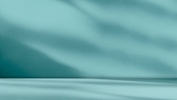 green shadow backdrop background product 3d bg light leaf wall podium abstract leaves minimal table presentation summer tropic, loft backdrop platform pastel gradient two tone studio floor scene bar - prise de vue en studio photos et images de collection