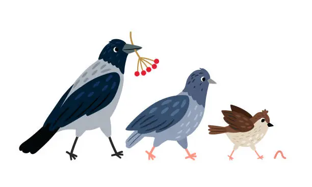 Vector illustration of Crow with berries in its beak, pigeon and sparrow run after a worm