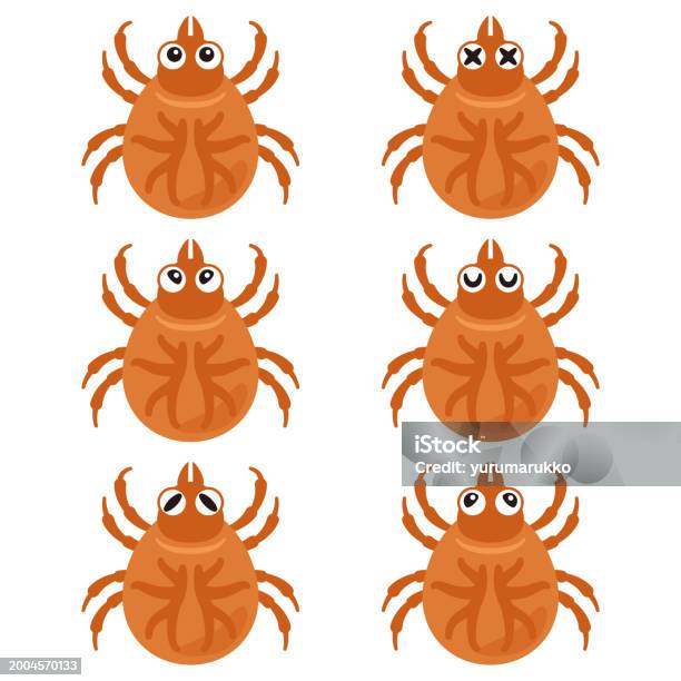 Tick Rash Animation Tick Facial Expression Set Stock Illustration - Download Image Now ...