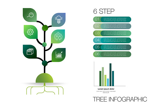 tree shape step option mind map infographic connection and chart table for , digital marketing diagram framework vision, percentage, design for business concept