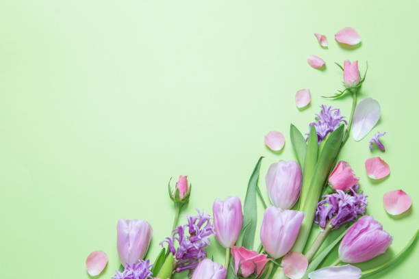 istock spring flowers on green paper background 2004580857