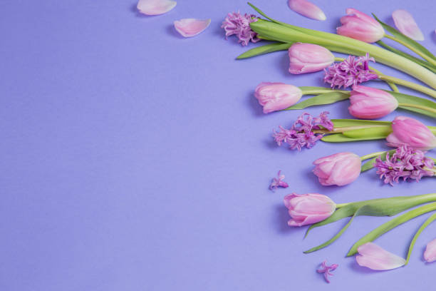 istock spring flowers on purple paper background 2004580858