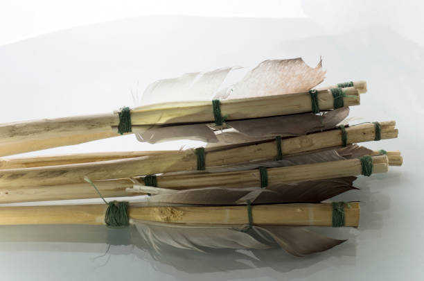 Various colored arrows in quiver as a background