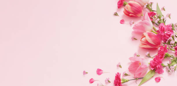 istock beautiful spring flowers on pink background 2004581425