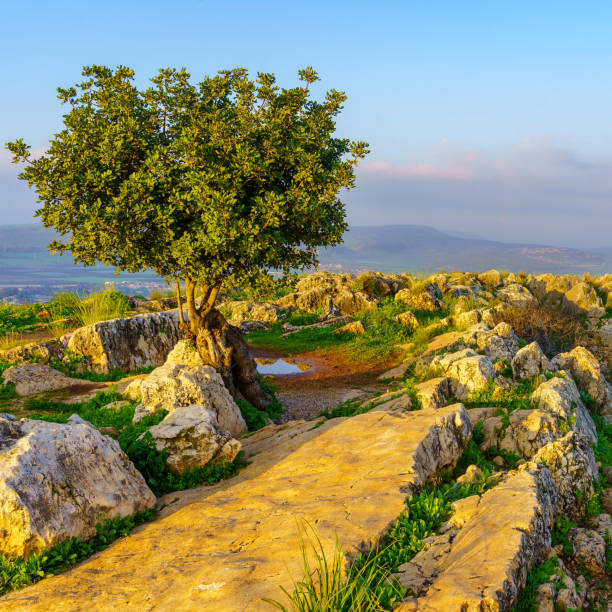 istock Landscape of Mount Arbel National Park 2004616264