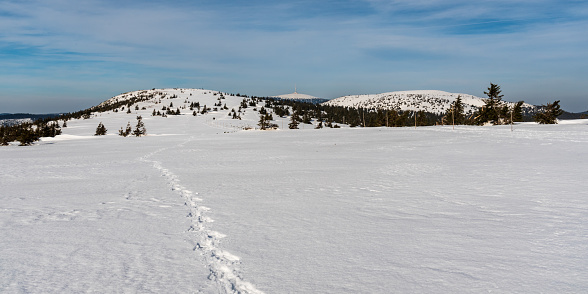 Footprints of a group of roe deers after walking in deep snow over deep ditch in winter. Animal paths. Calm winter scenery