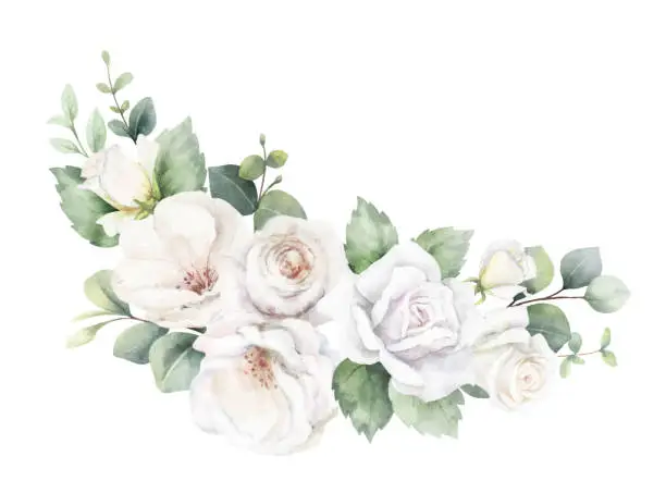 Vector illustration of Watercolor vector floral wreath. White roses and greenery. Branches of eucalyptus. Perfect for wedding stationary, greetings, wallpapers, fashion, fabric, home decoration. Hand painted illustration.