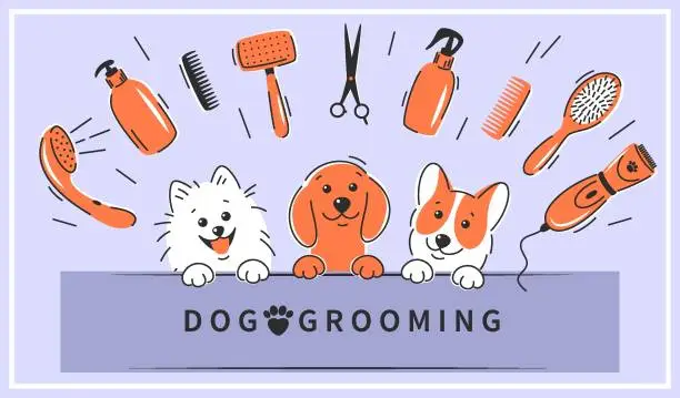 Vector illustration of Grooming 044