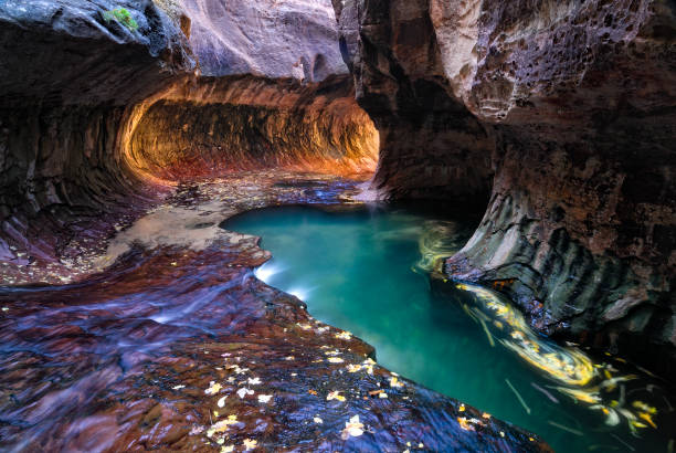 The rocks bordering a scenic river within a narrow canyon. Zion National Park, Utah