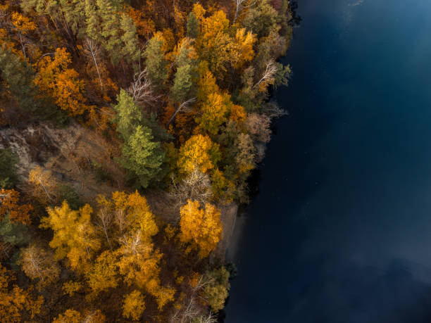 istock Autumn aerial look down on river in golden forest 2004691071