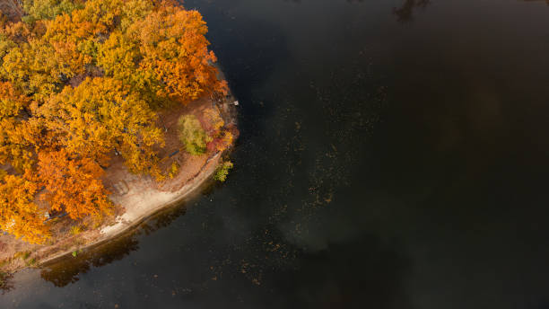 istock Autumn aerial look down on river in forest 2004691092