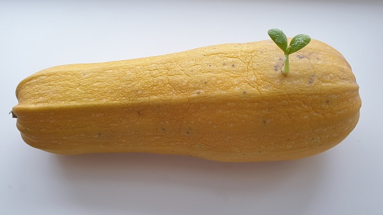 A small sweet ripe cut pumpkin lies on a brown wooden table close-up