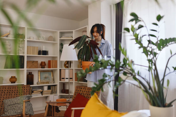 istock Woman rearranging her plants at home 2004710450