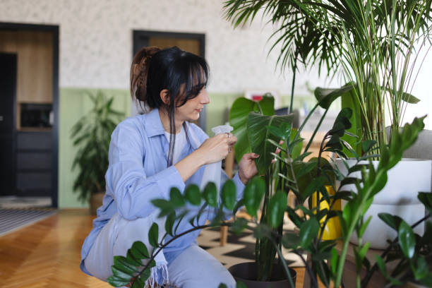 istock Female person watering her plants 2004713614