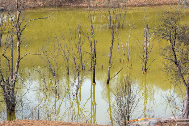 green waste waters from a copper mine polluting  the environment. geamana decantation lake, romania - cyjanki zdjęcia i obrazy z banku zdjęć
