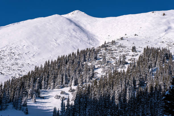 istock Snowfall Snowy Slope Spruce Forest Mountains 2004768349
