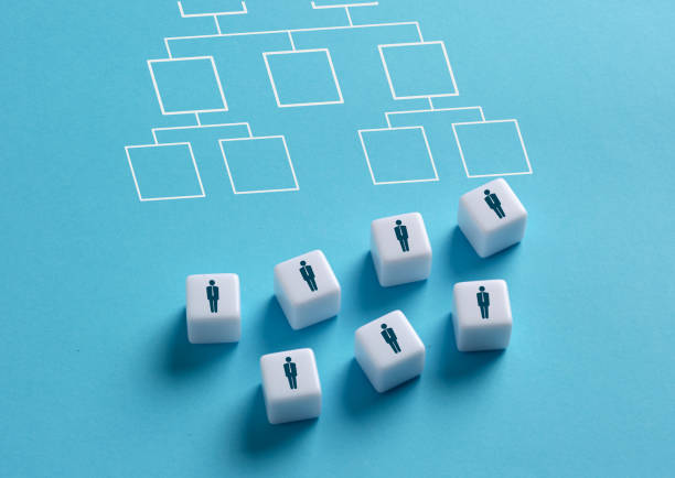 istock Arranging employees in company hierarchical organizational chart. 2004768352