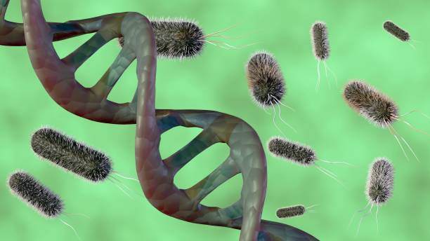 istock double helix DNA strand surrounded by several rod-shaped bacteria 2004780722